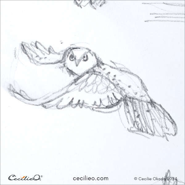 Rapid sketch of a barn owl in flight, capturing its essence with minimal detail as a warm-up exercise for artists.