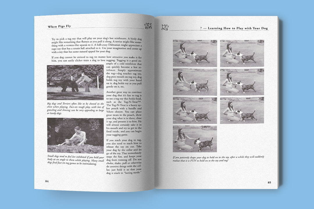 Cover of When Pigs Fly Book