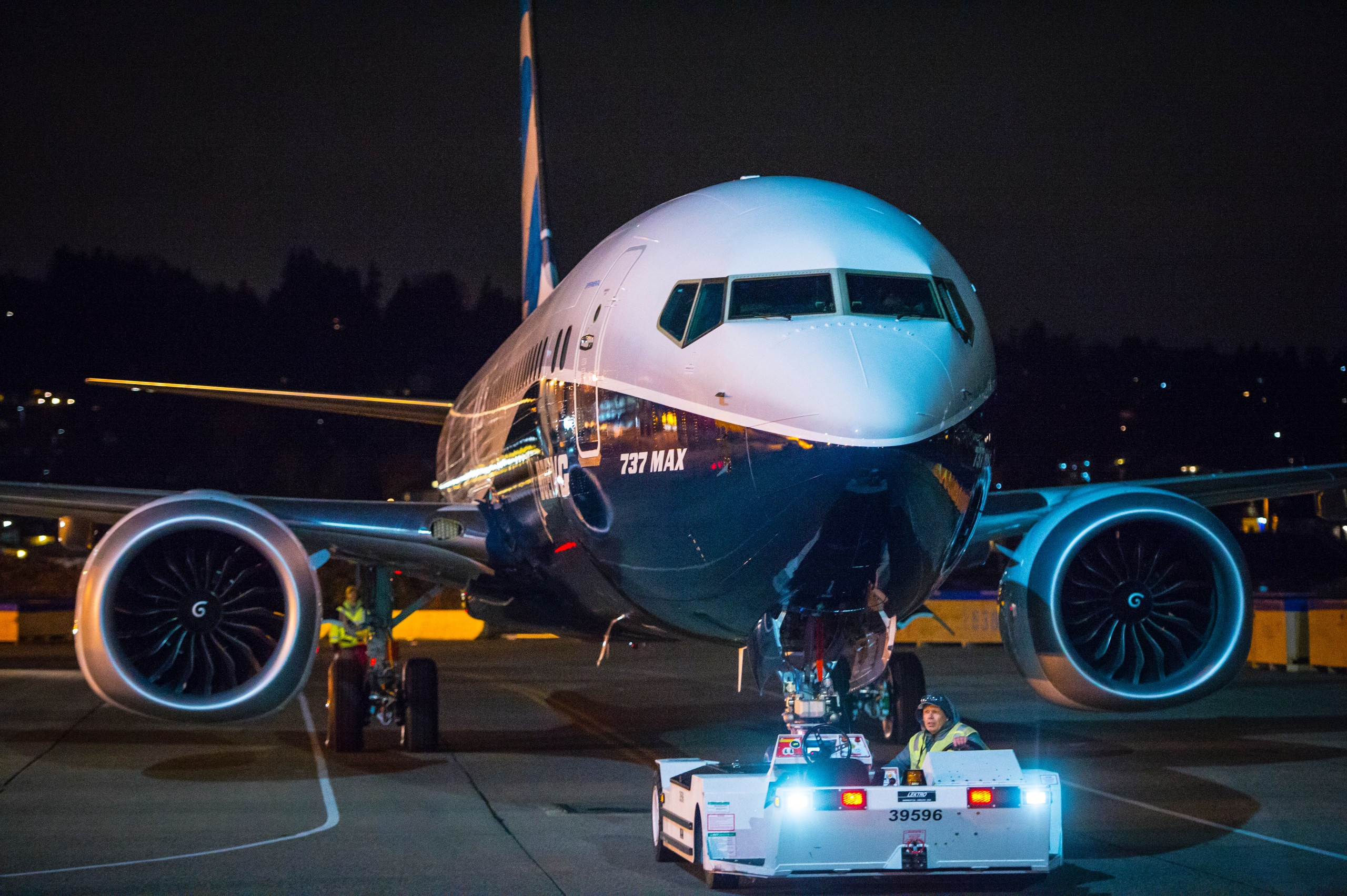 Boeing 737 MAX Aircraft Type