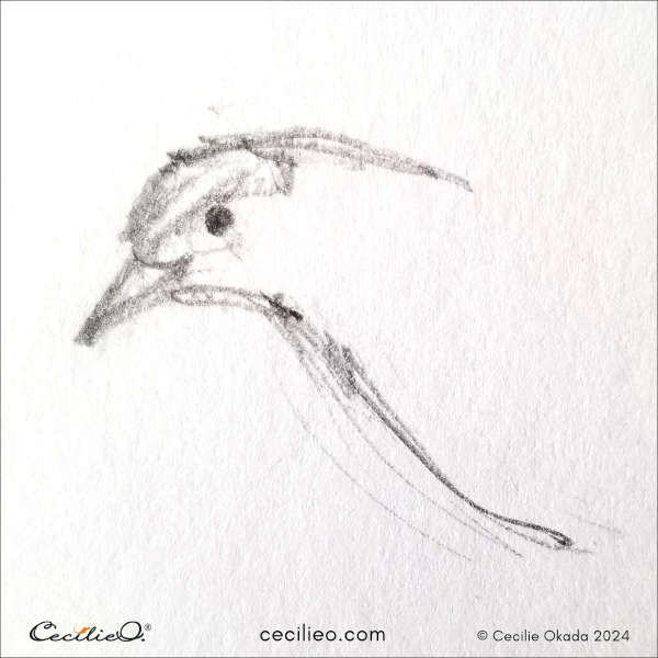 Initial sketch phase of a bird in flight, focusing on simplified lines to establish the basic form and structure.