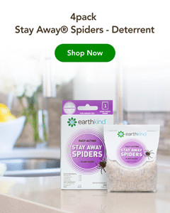 4 Pack Spider