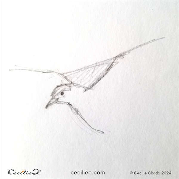 Second step in sketching a flying bird, emphasizing the importance of negative space to refine the accuracy of the drawing.
