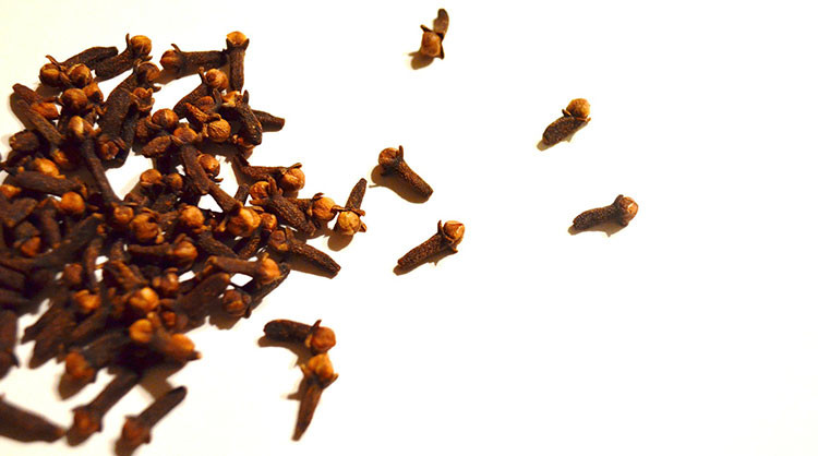 6 Natural Mango Fly Repellents