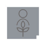 Circle Trap on Tree of Heaven