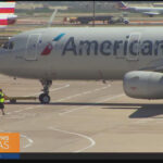Dog in carrier on American Airlines