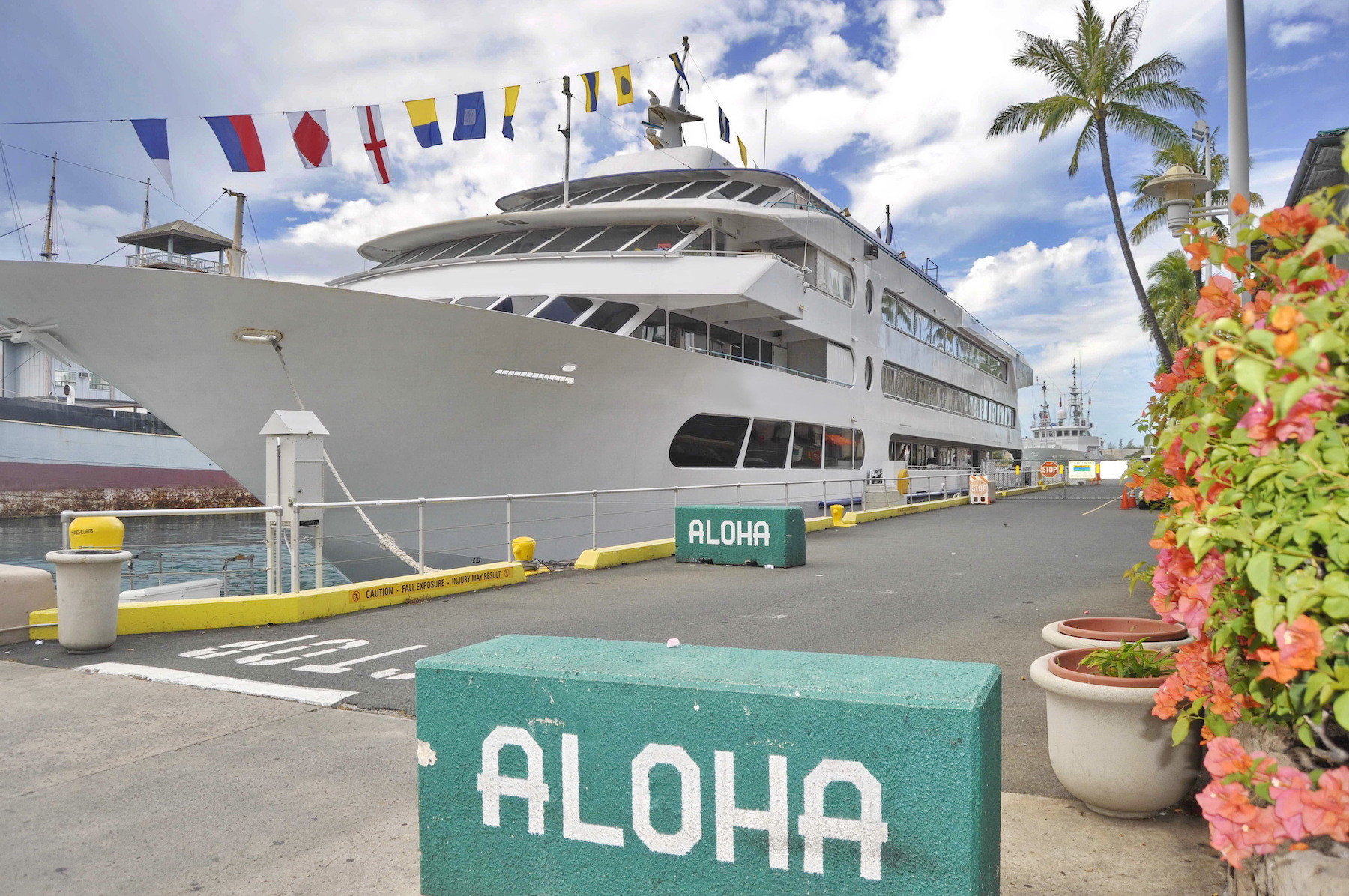 Image of a cruise ship docked in Hawaii