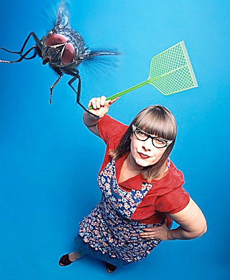 Fly on a screen door