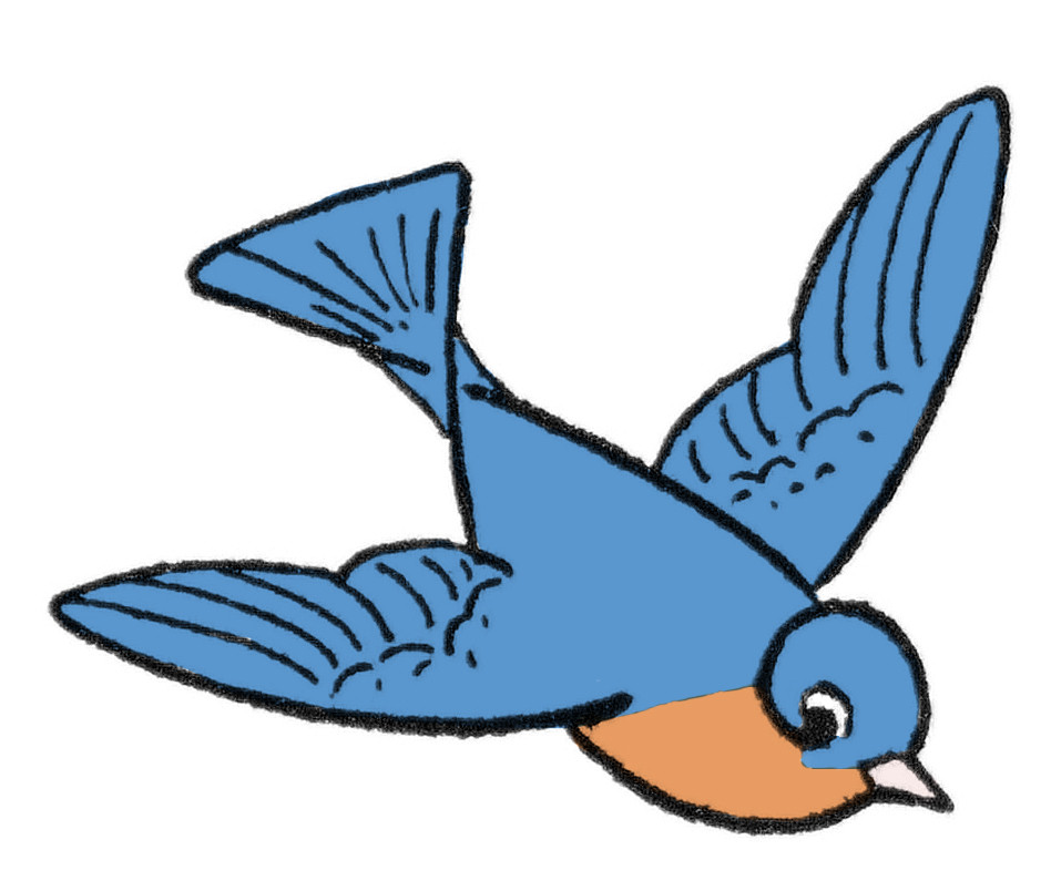 Flying Birds Drawing