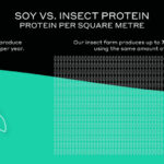 Insect vs. soy - yield per square metre