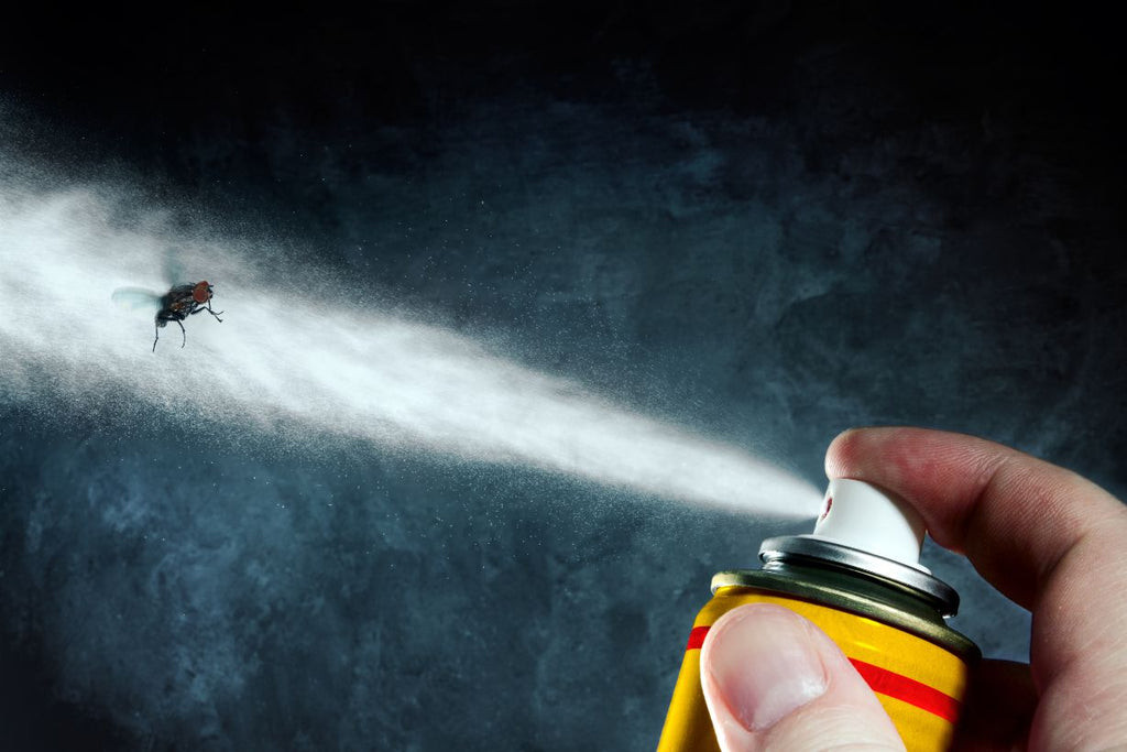 A person spraying a bug
