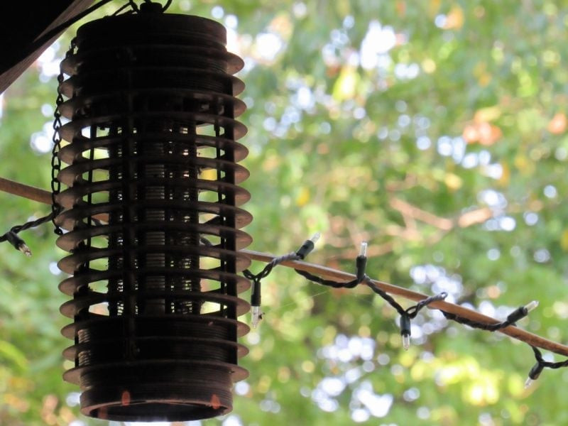 UV light attracts insects, and when the insects come in contact with the zapper, they are electrocuted. These devices work best in localized areas and eliminate many flying insects including house flies, mosquitoes, and gnats
