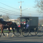 An Amish buggy on a rural road, symbolizing their traditional mode of transportation
