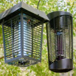Bug zappers hanging in a tree, highlighting their outdoor placement and function.