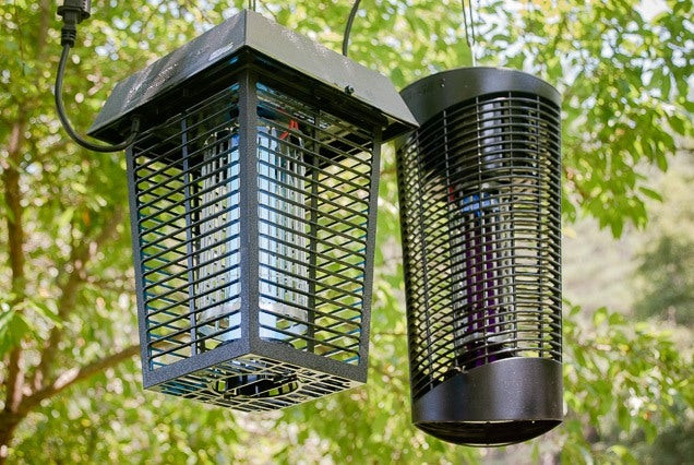 Bug zappers hanging in a tree, highlighting their outdoor placement and function.