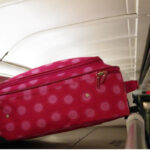 Standard tweezers for carry-on