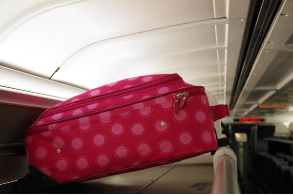 Standard tweezers for carry-on