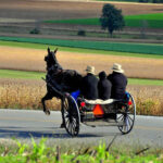 Amish Flying