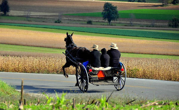 Amish Flying