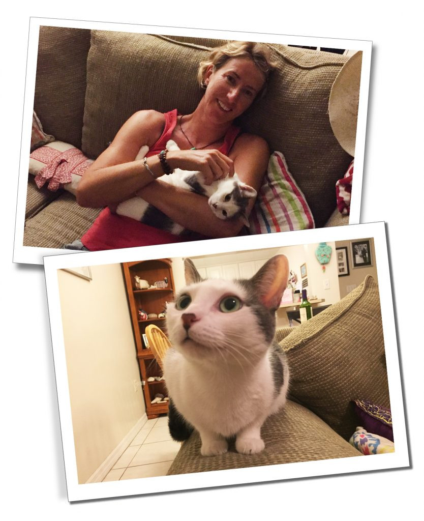 SueWhereWhyWhat &amp; Ivy the Cat, Grand Cayman