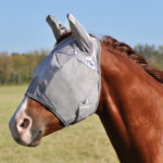 Horse wearing a fly mask in a field, demonstrating protection from insects