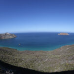 Prince Island, a small, 40-acre islet just a half mile northeast of San Miguel Island