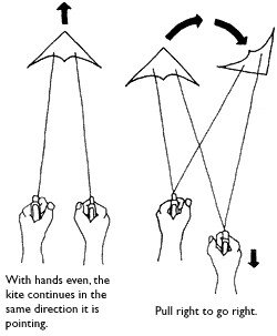 Trick Kite