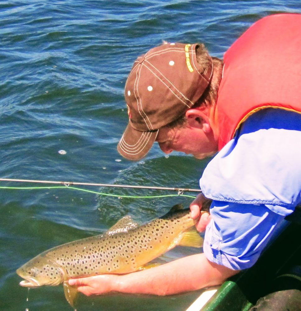 Daddy Brown Trout
