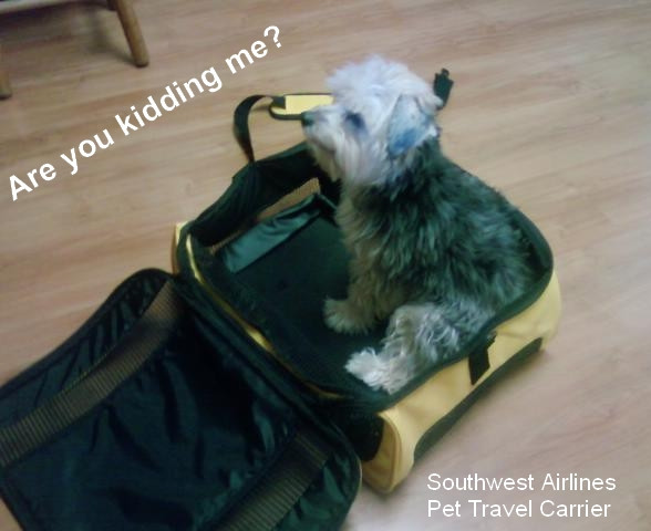 Dog in Southwest Airlines Travel Case