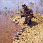 Camouflaged dove hunter blending into the field