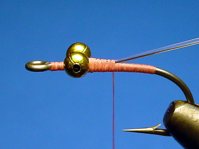 V-Rib tied in at the back of the eyes
