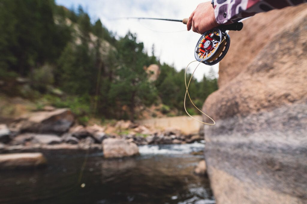 Fly fishing reel