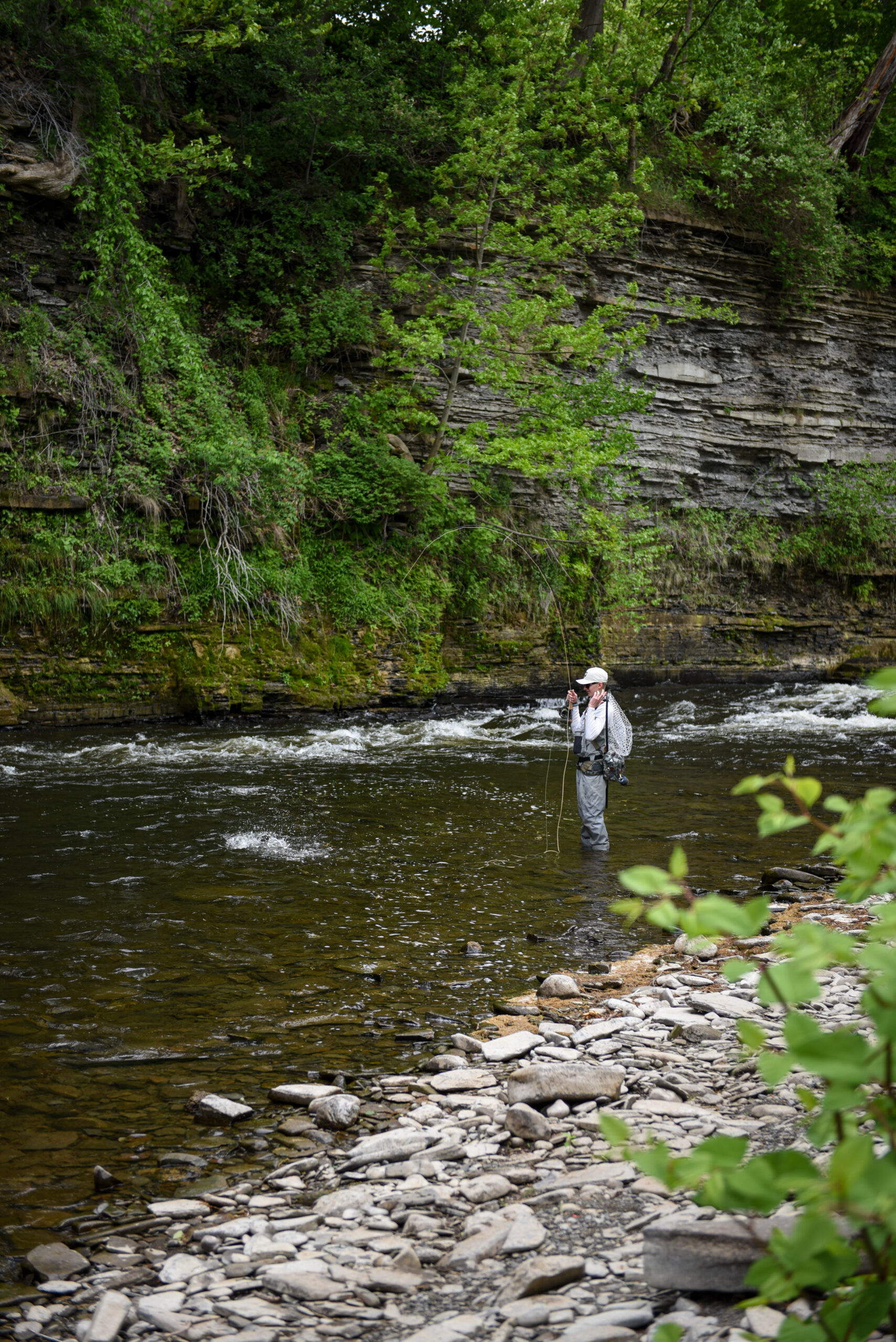 Angler fights bass with a fly rod