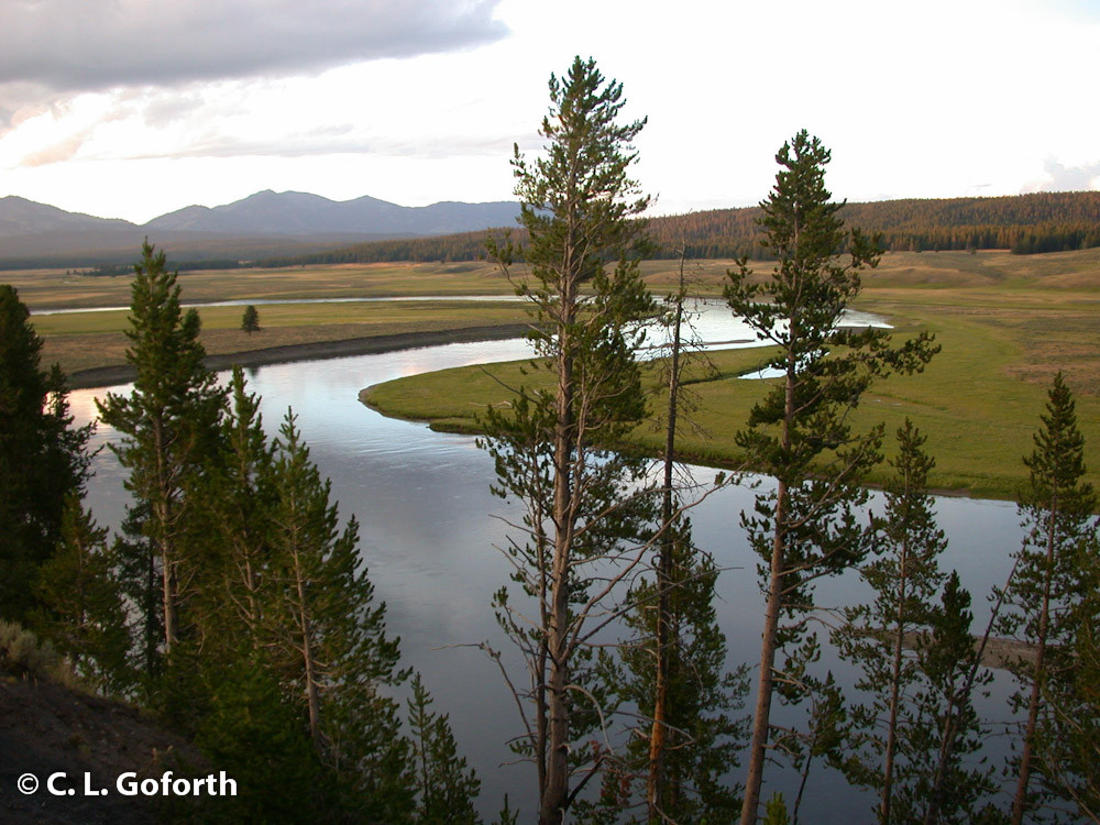 Yellowstone River