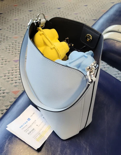 Eggs in Carry-On Baggage