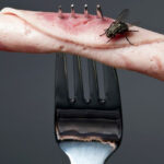 Water bag to keep flies away