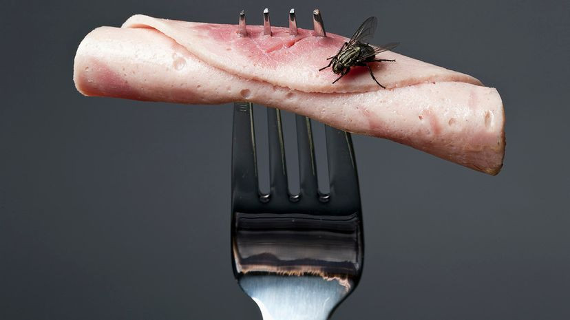 Water bag to keep flies away