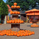 Pumpkins Carving