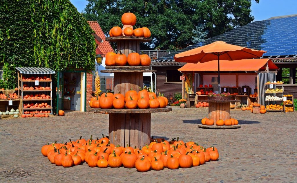 Pumpkins Carving