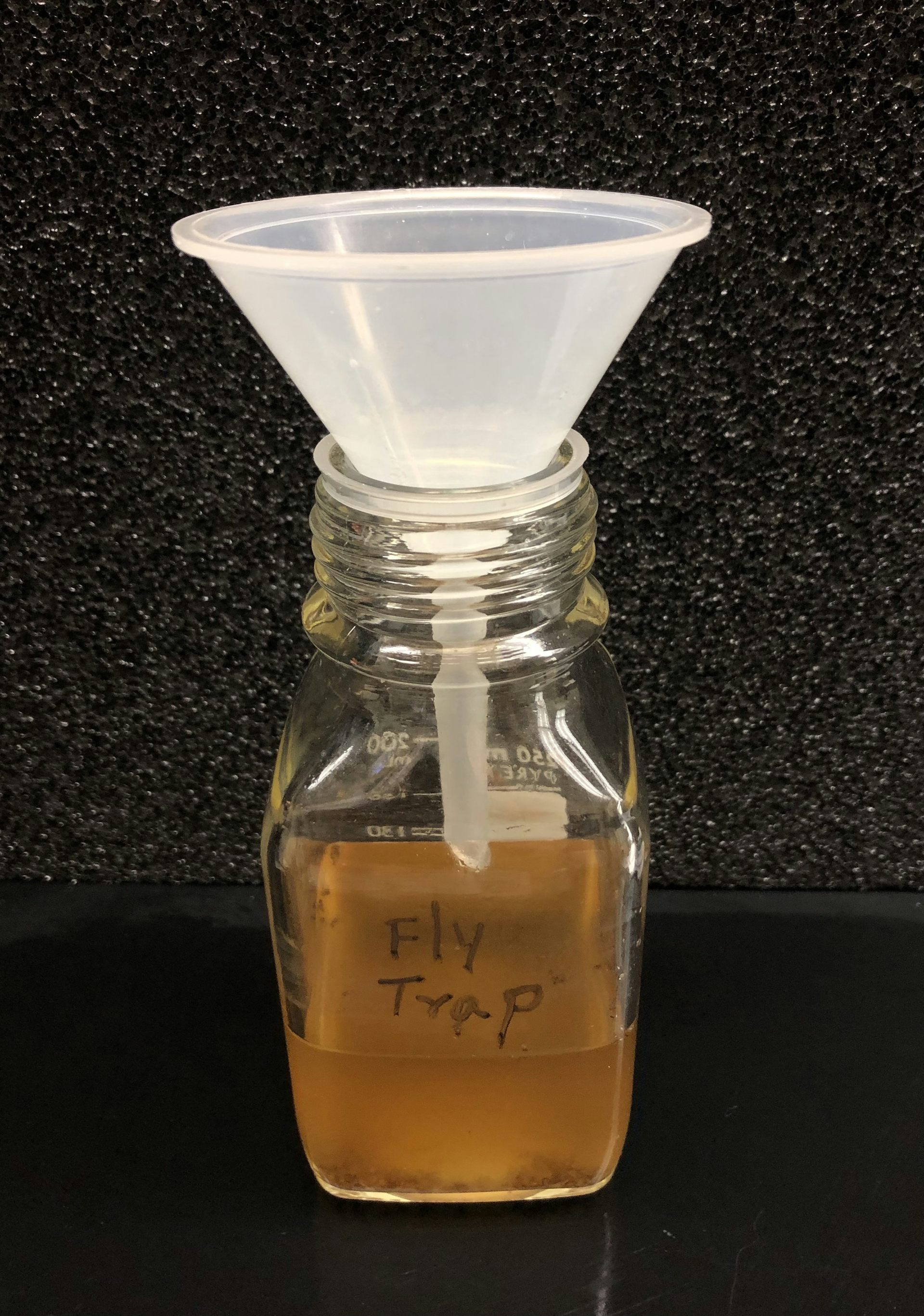 A simple home-made fruit fly trap