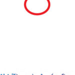 Basic shapes for drawing a fly: a small oval for the head, a larger oval for the thorax, and an elongated oval for the abdomen.