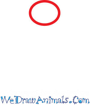 Basic shapes for drawing a fly: a small oval for the head, a larger oval for the thorax, and an elongated oval for the abdomen.