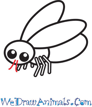 Finalizing the fly drawing: darkening the outline, adding shading for depth, and erasing unnecessary guidelines.