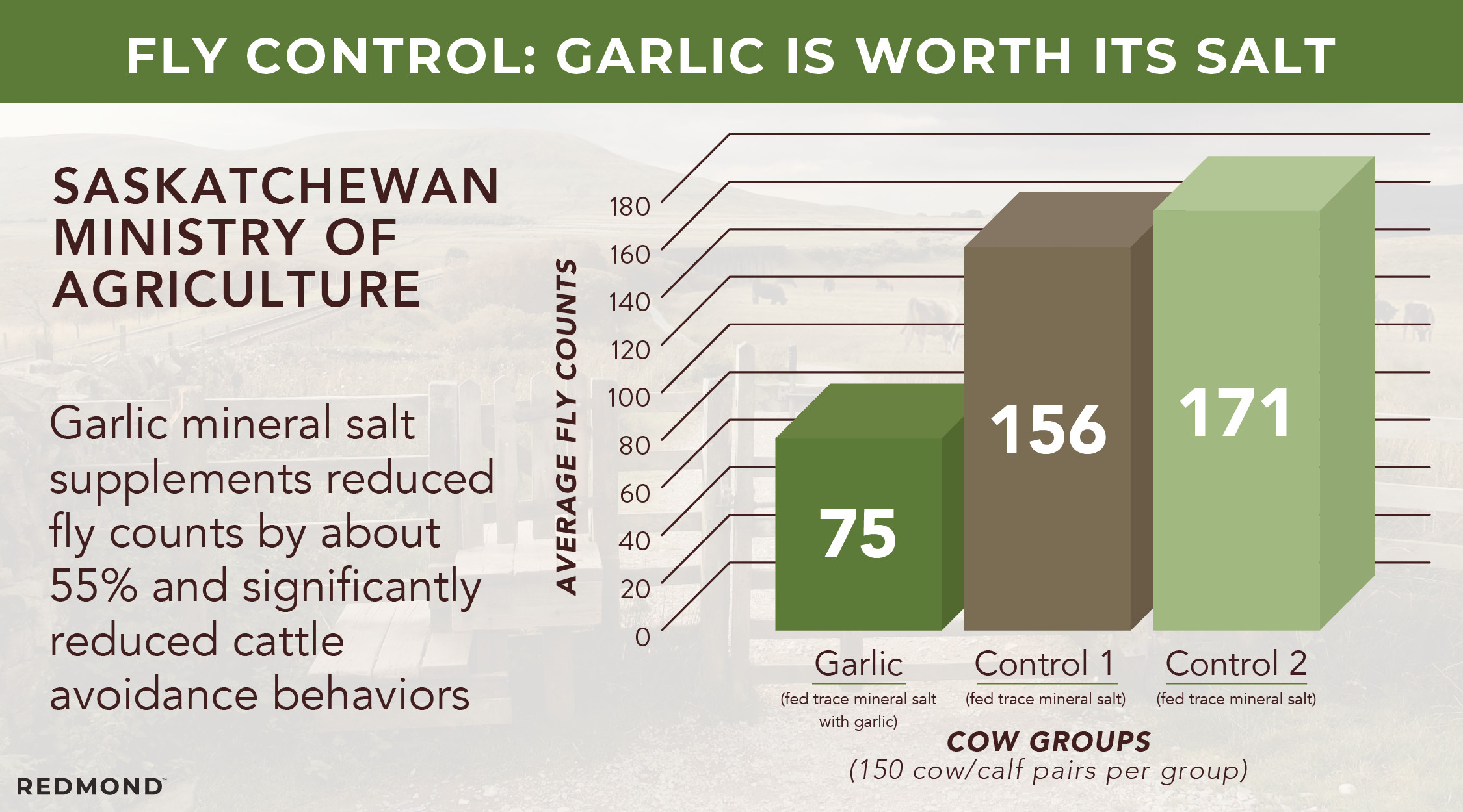 Garlic for natural fly control for cattle