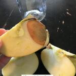 DIY fruit fly trap ingredients including a jar, paper, tape, fruit, and bread