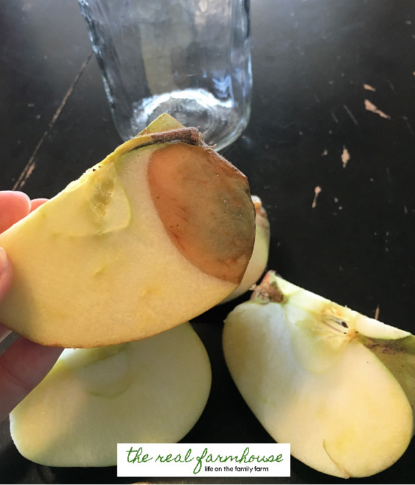 DIY fruit fly trap ingredients including a jar, paper, tape, fruit, and bread