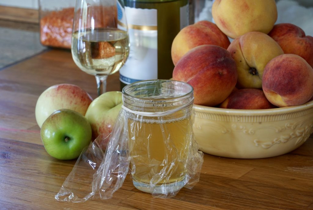 Homemade fruit fly trap with apple cider vinegar, plastic wrap, and rubber band