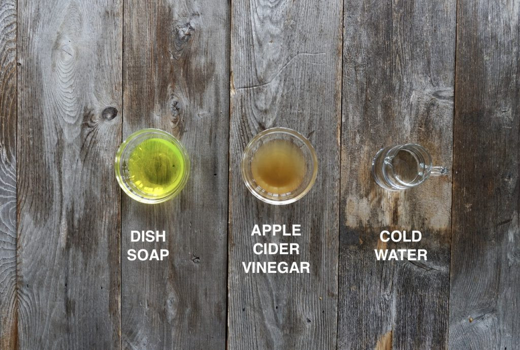 DIY fruit fly trap ingredients including dish soap, apple cider vinegar and water
