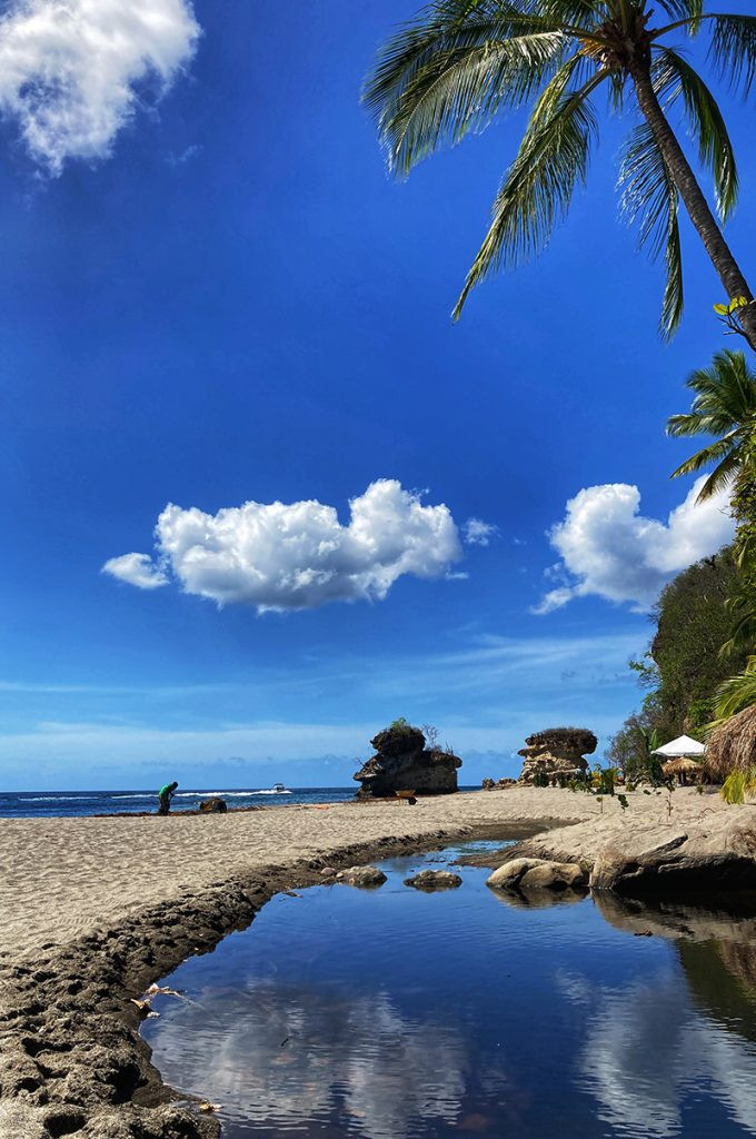 A tranquil lagoon on a deserted sandy beach with a large palm tree and white clouds