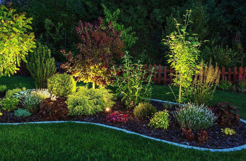 Garden shrubs and plants