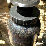 Starbar Fly Terminator Pro Fly Trap near a chicken coop
